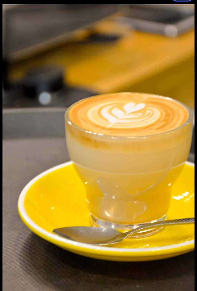 Greengo Palma photo 5