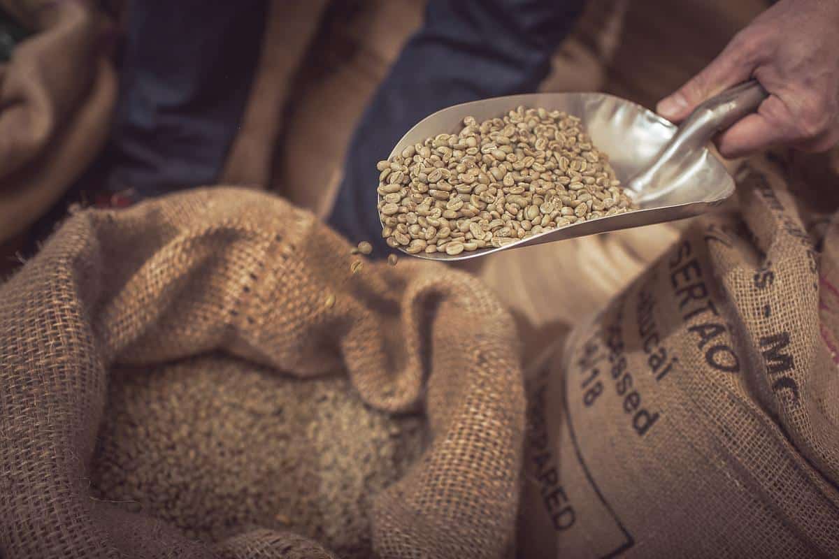 PRAŽÍRNA HOSPODÁŘSKÝ photo 5