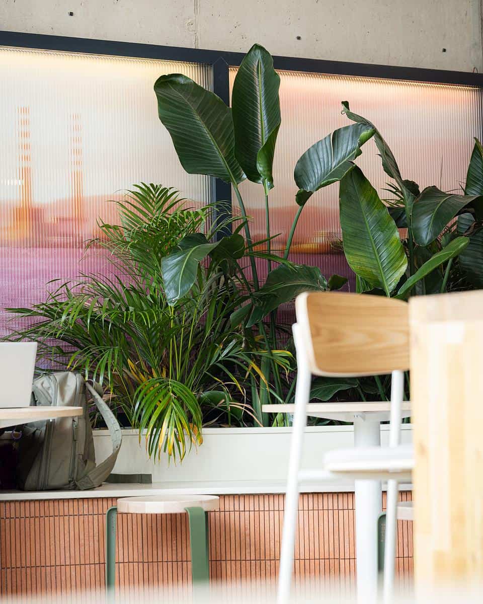 Grindstone Dublin Landings photo 5