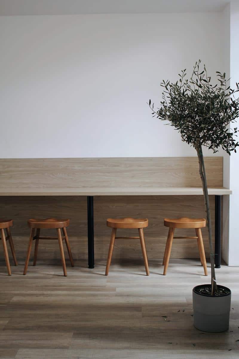 Nomos Coffee photo 5