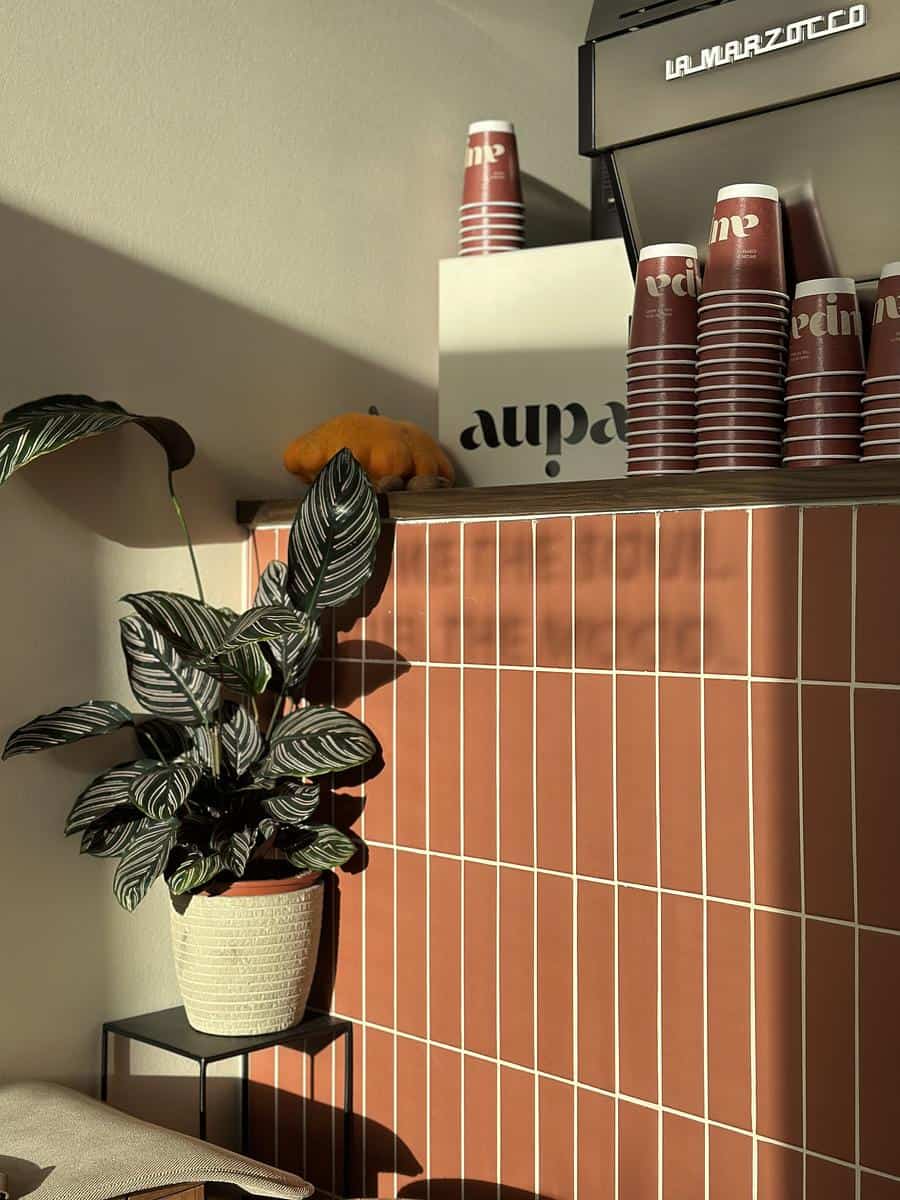 AUPA Specialty Coffee photo 5