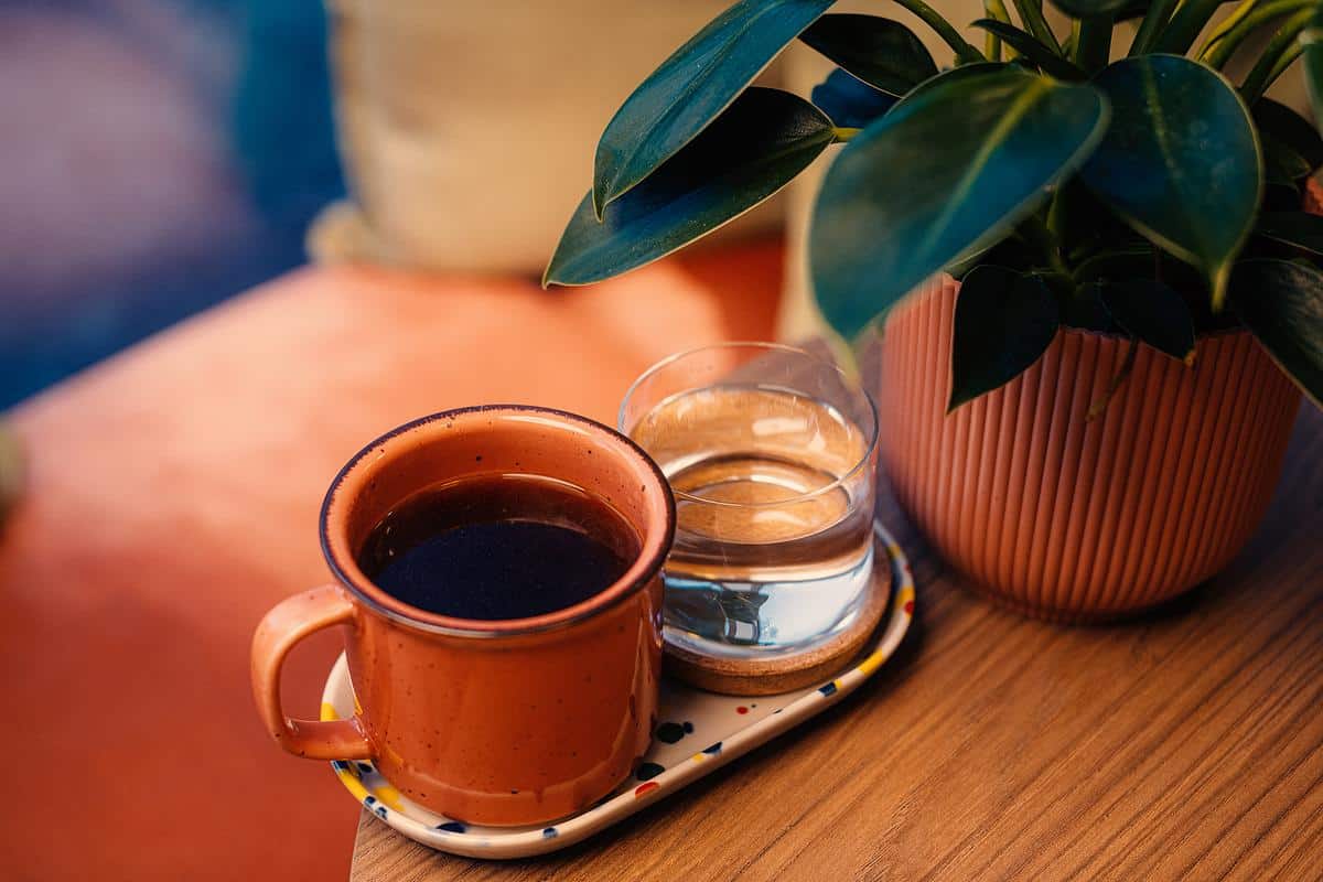 Liv a little photo 3