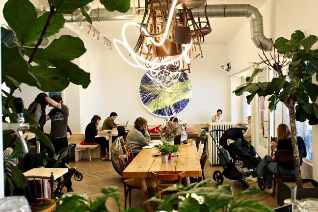 Coffee Pirates photo 1