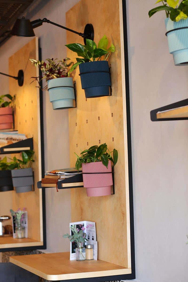 Aurelica Coffee photo 5