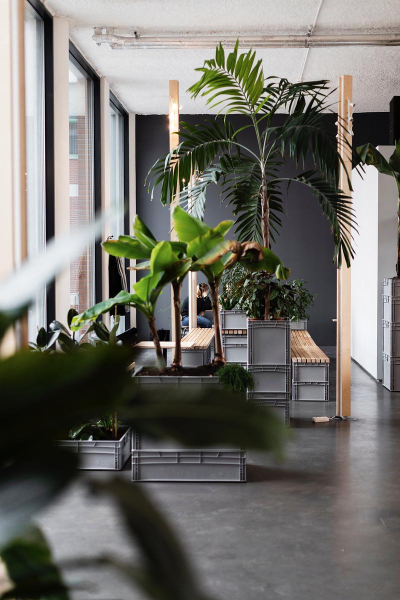 Cover image of jedním tahem