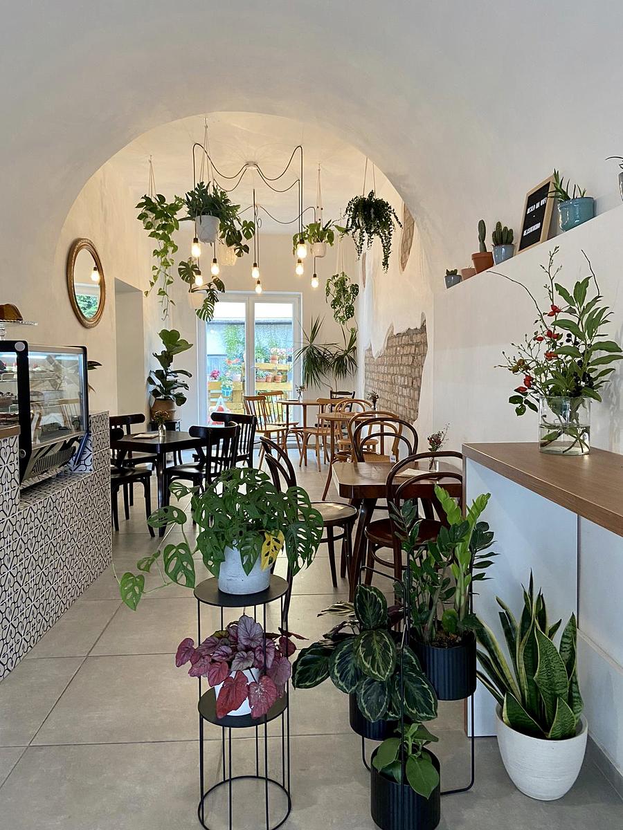 Kafe, víno, kokino