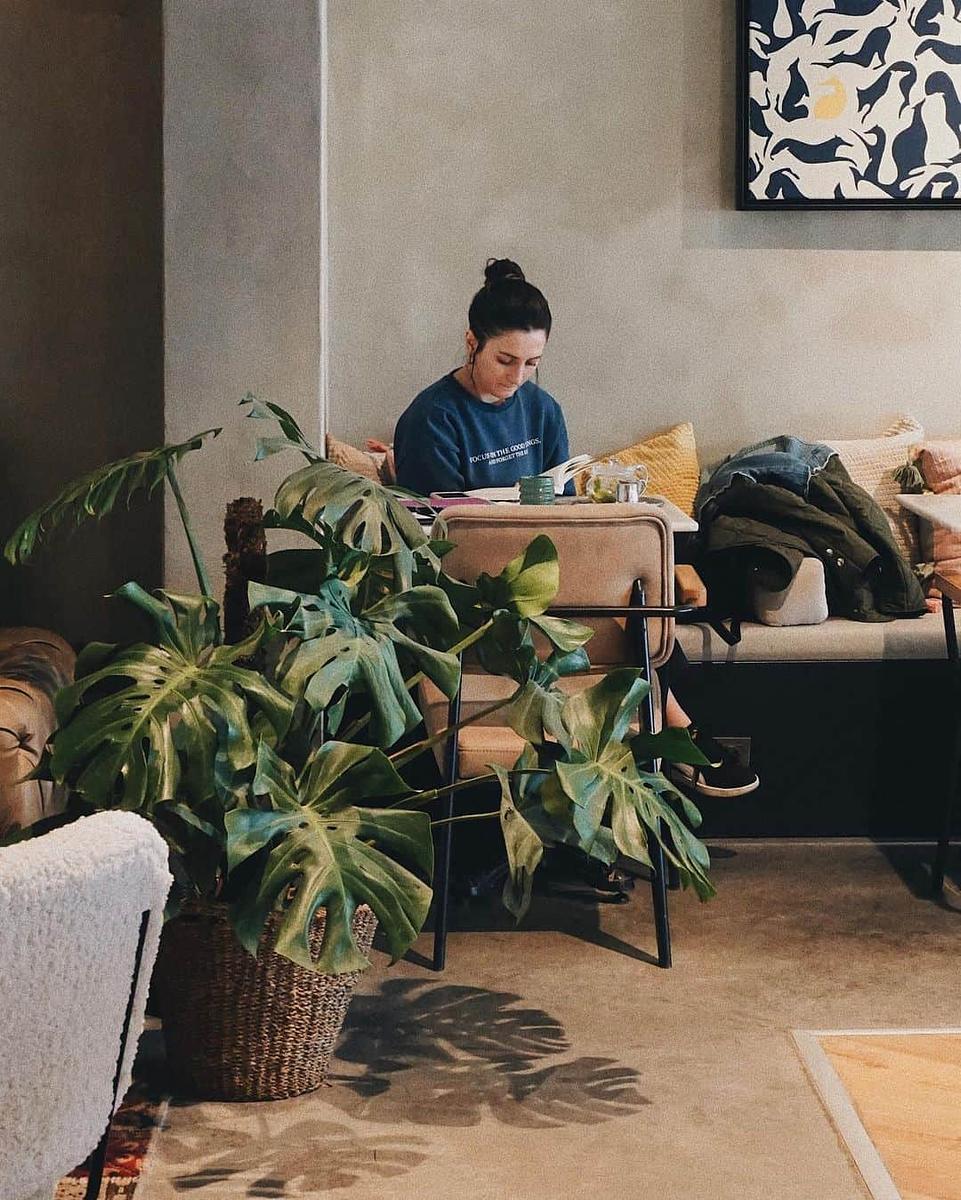 Hound Coffee&Eatery photo 5