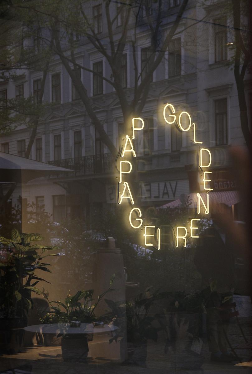 Goldener Papagei photo 1