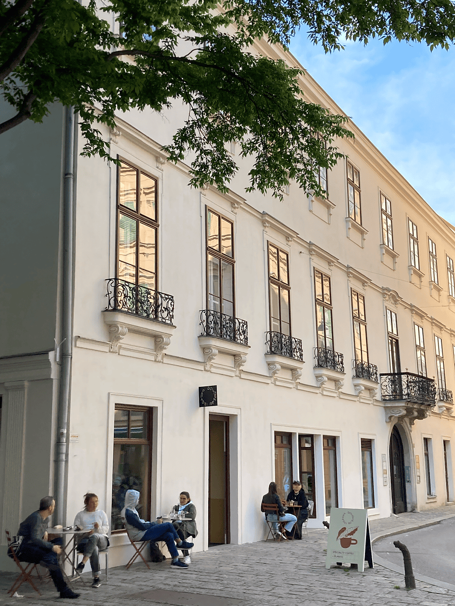 Goldener Papagei photo 3