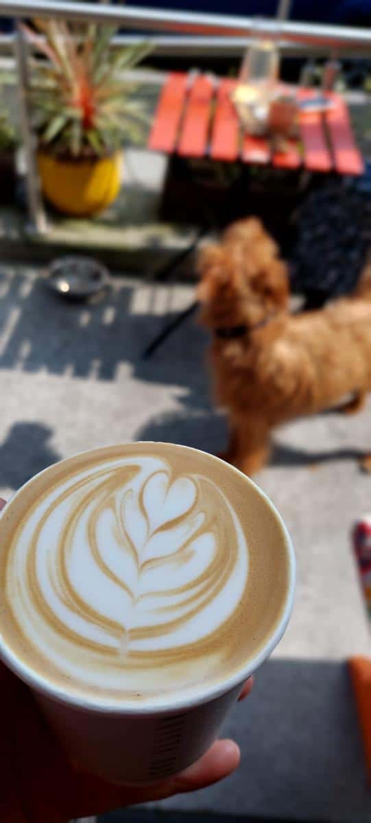 Barista Bus @ Murray’s photo 3