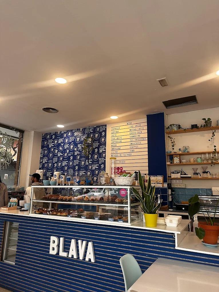 BLAVA Coffee Roaster