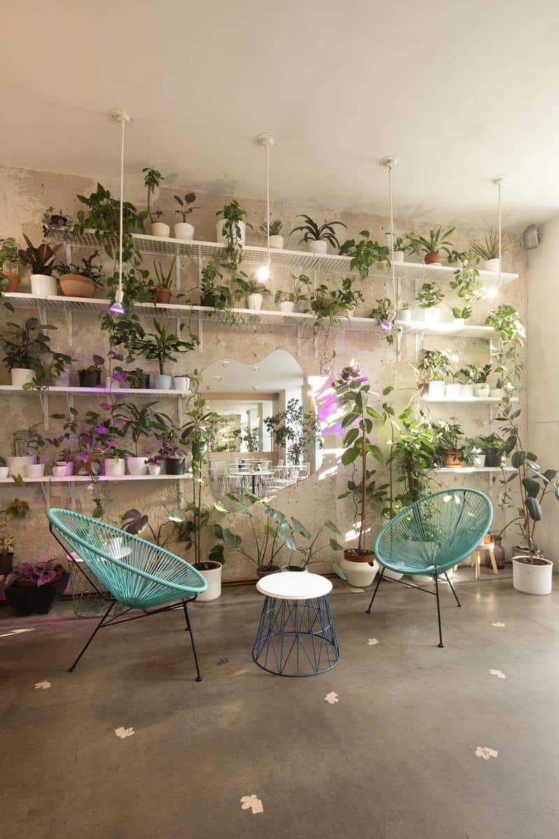 Mistral café photo 3