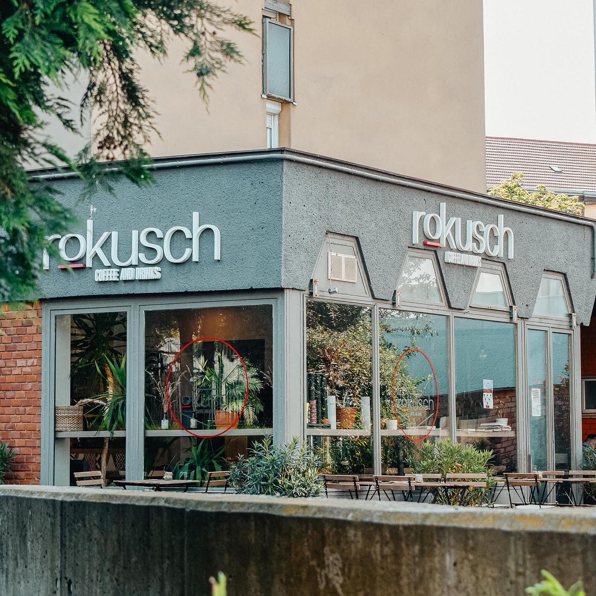 Cover image of Rokusch