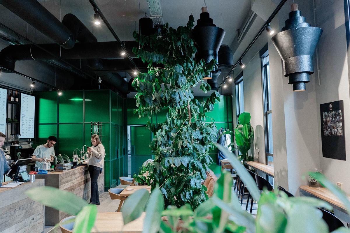 Olivo Coffee Culture