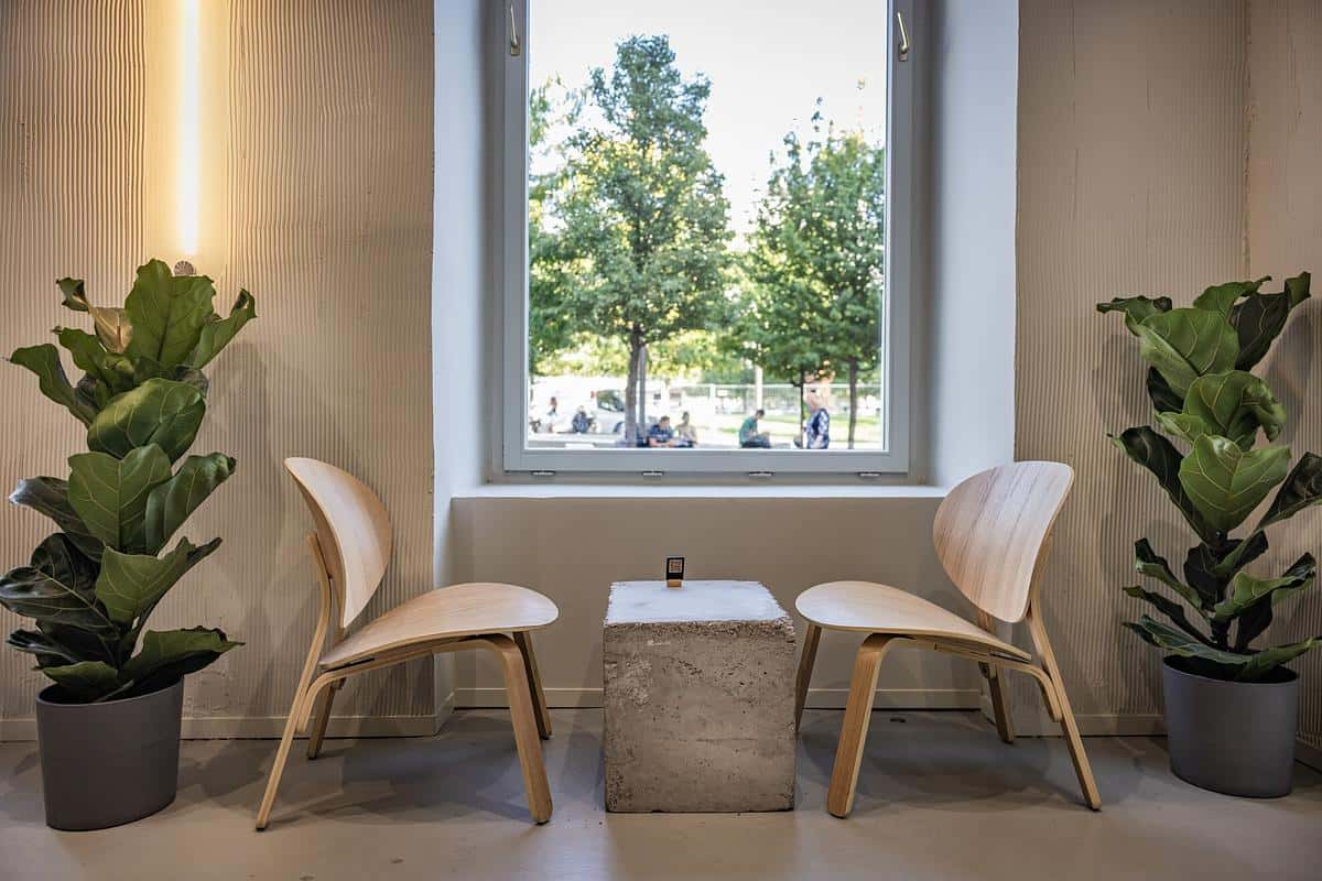 Meron Arany Janos photo 2