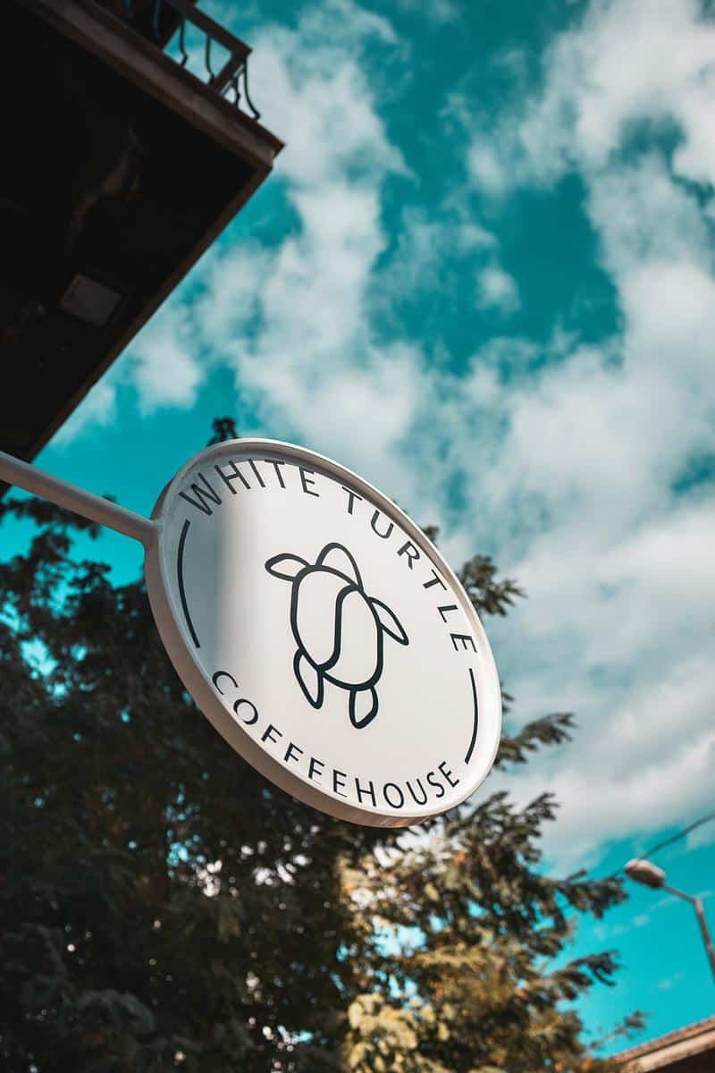White turtle coffee house photo 2