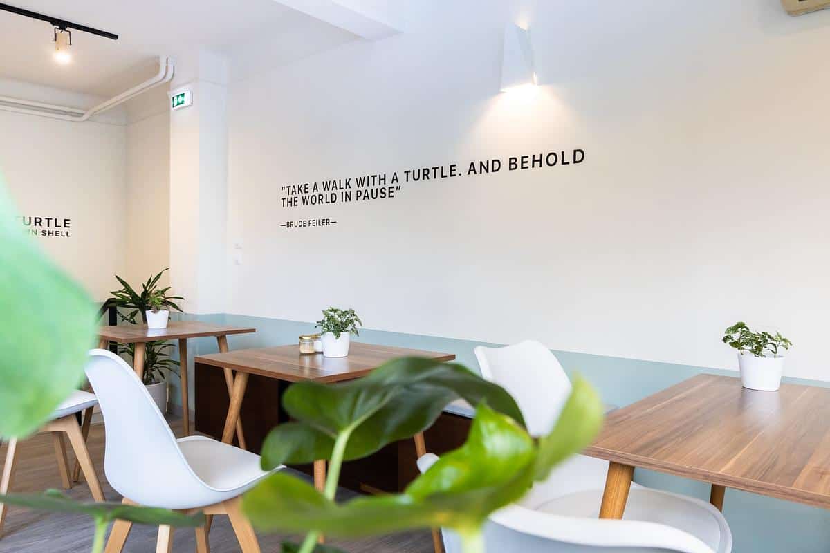 White turtle coffee house photo 3