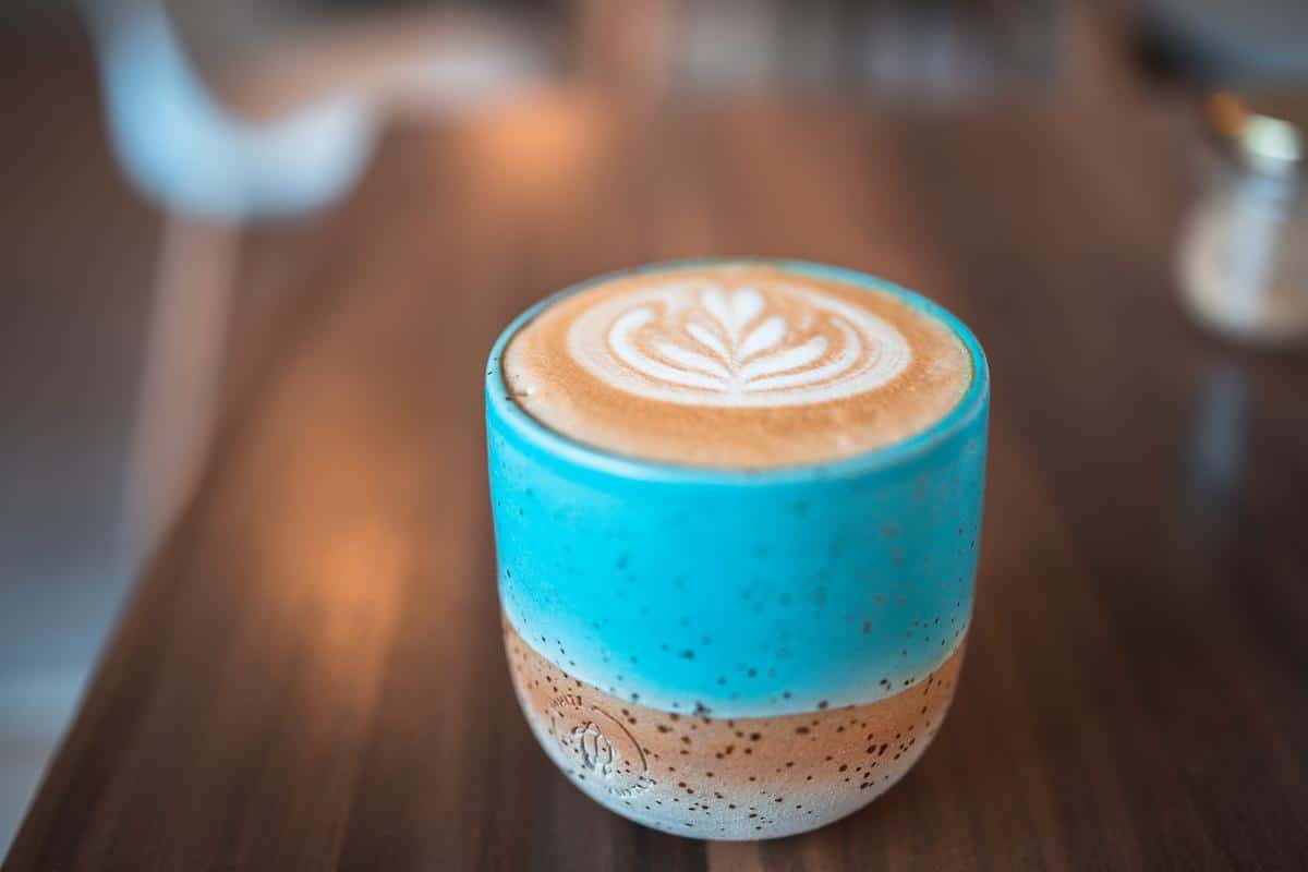 White turtle coffee house photo 4