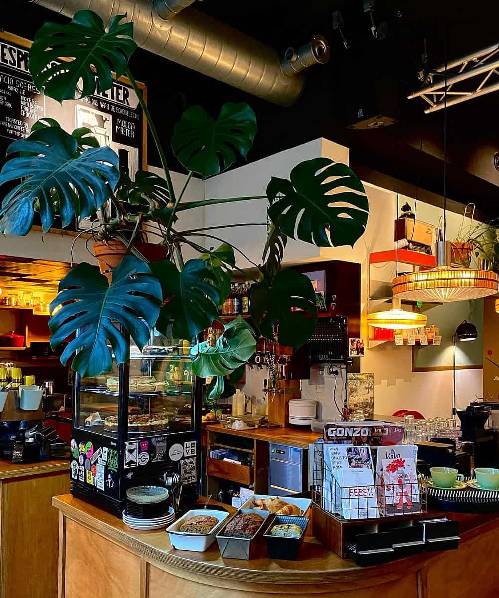 Espressobar Kopi Soesoe photo 3