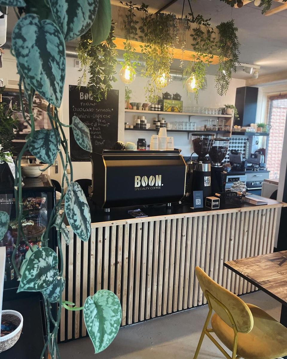 Boon Specialty Coffee