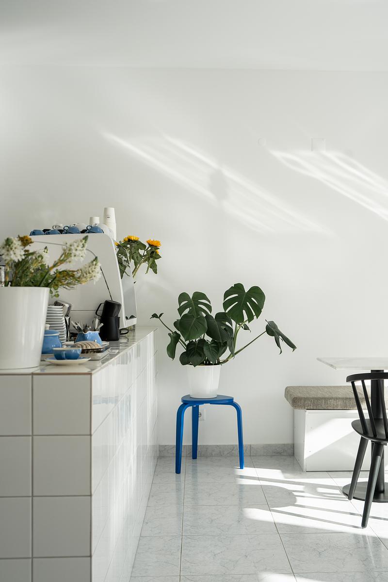 ALEX | COFFEE BRUNCH WINE