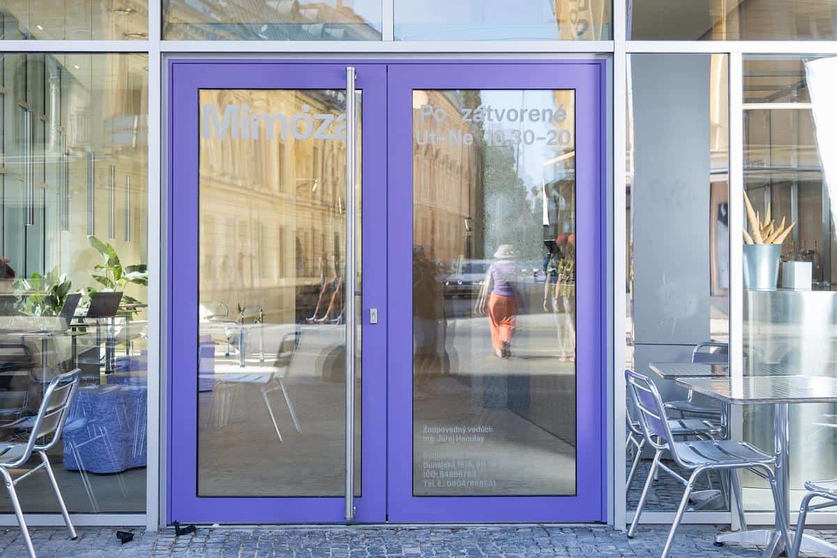 Mimoza gelato photo 3