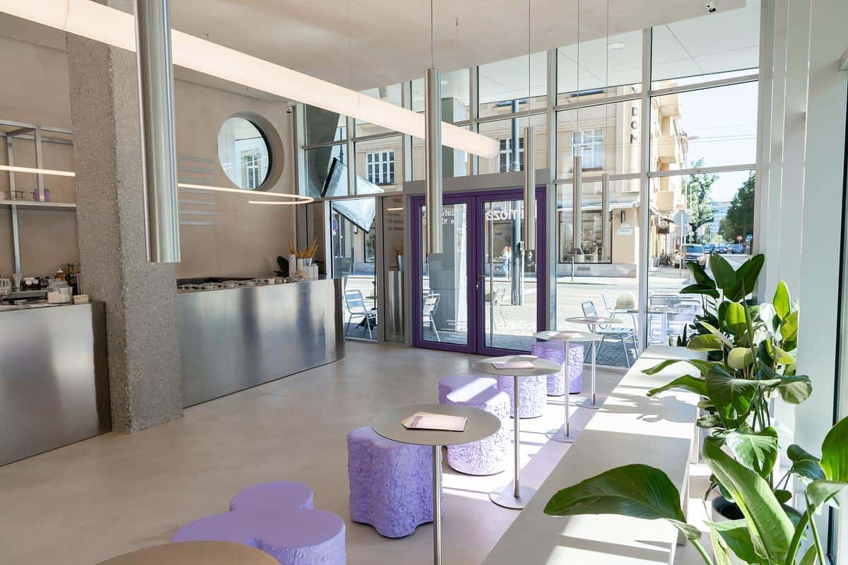 Mimoza gelato photo 4