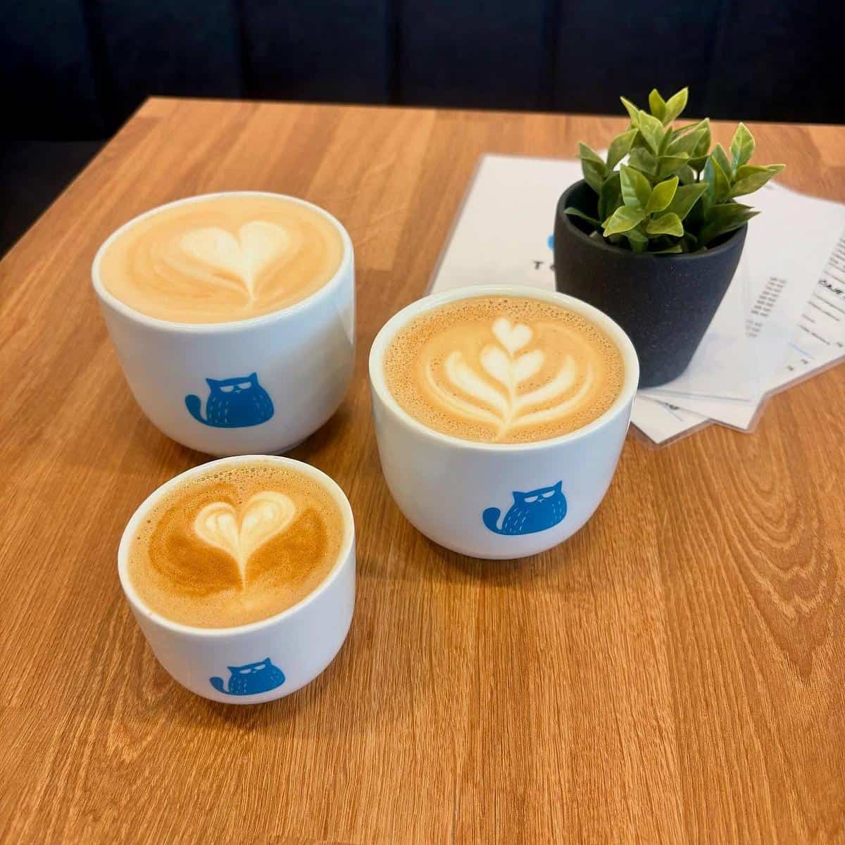 Tomcat coffee Košíře photo 5