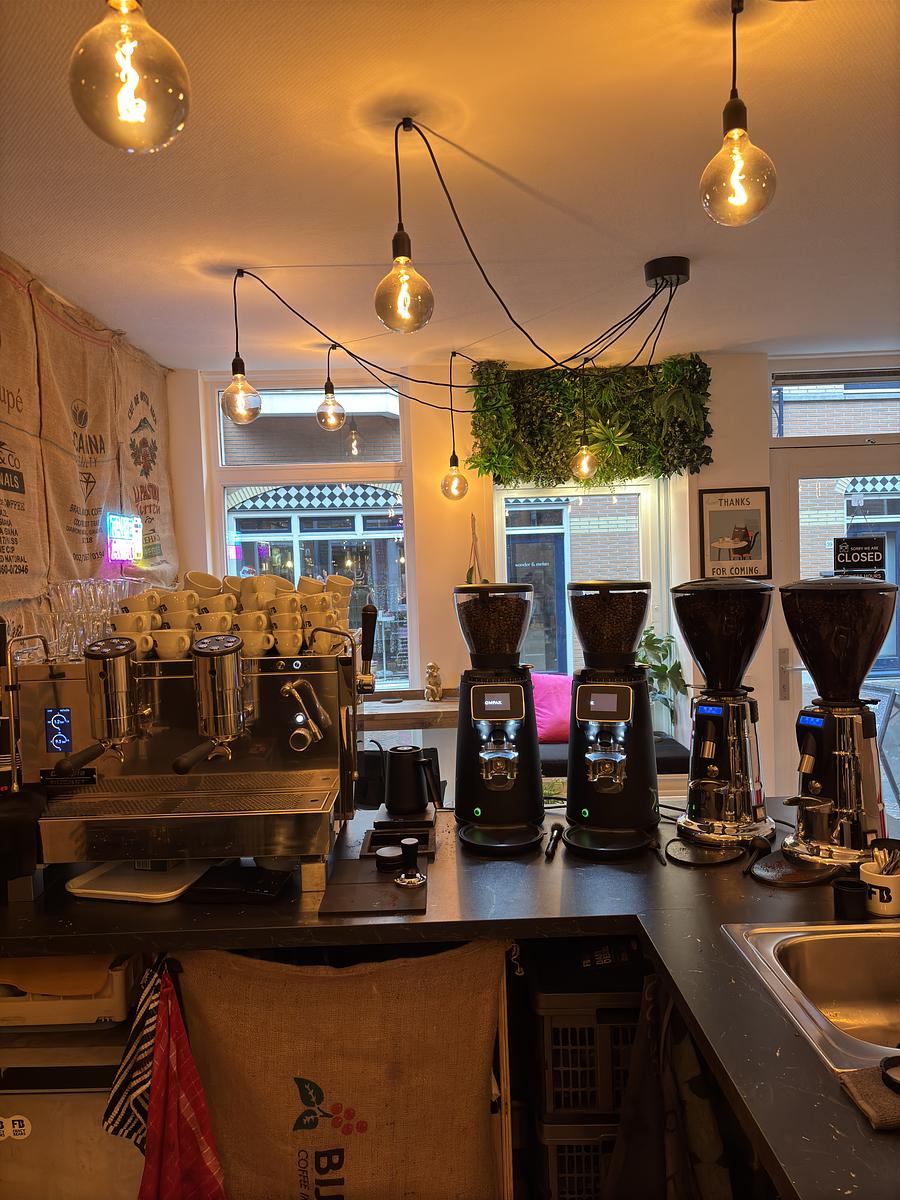 Fancy Beans Specialty Coffee photo 1