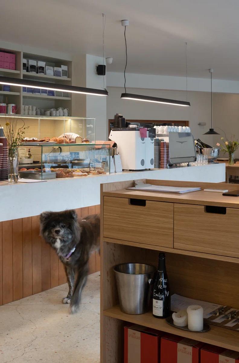 Sonder Dorćol photo 2