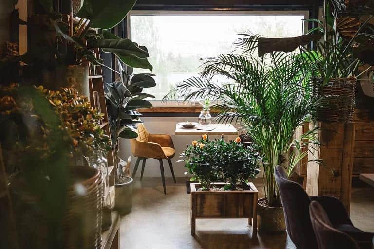 Cafe & Love by Veronica photo 2