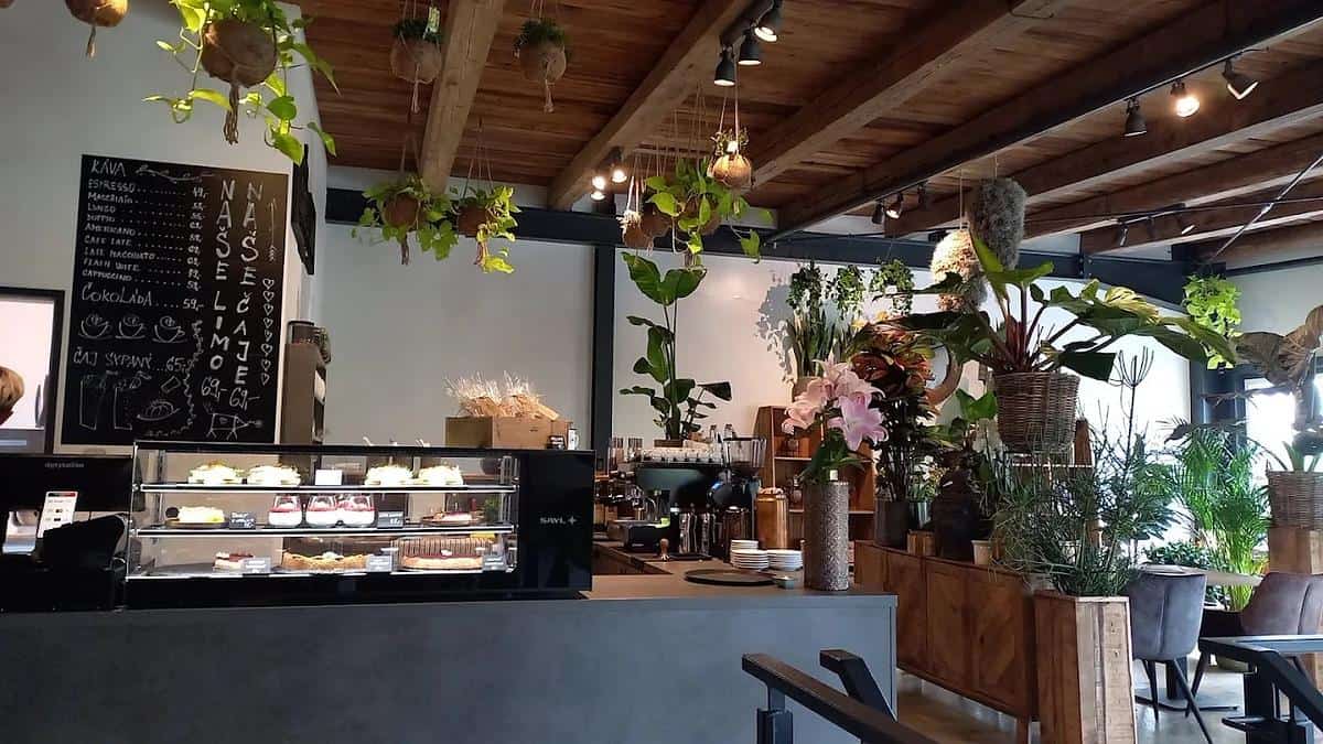 Cafe & Love by Veronica photo 3