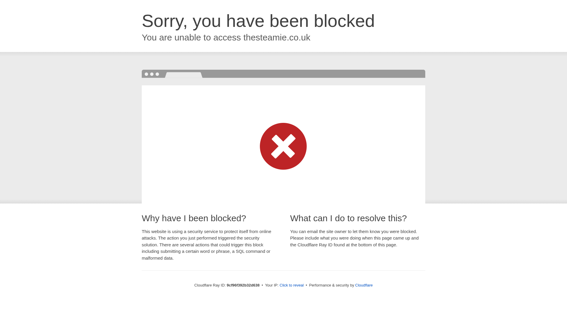 The Steamie Coffee Roasters