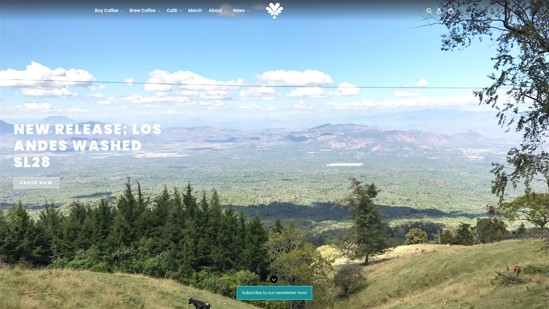 Drop Coffee Roasters